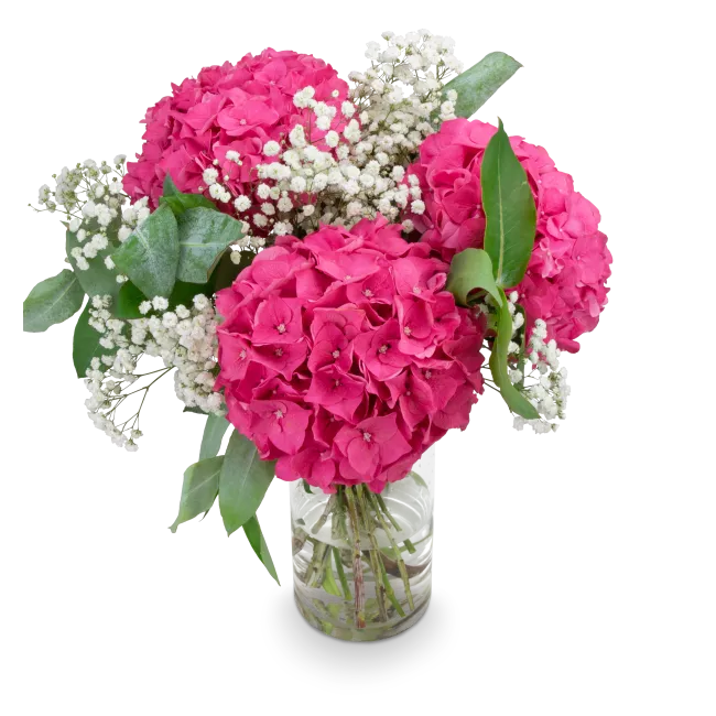 Bouquet of hydrangeas